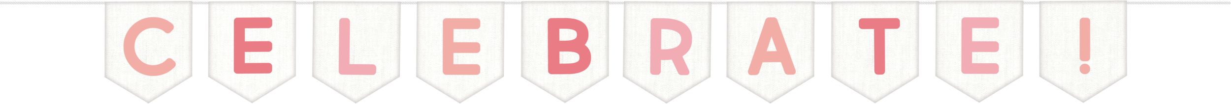 Shades of Pink Celebrate Pennant Banner Front_Flat