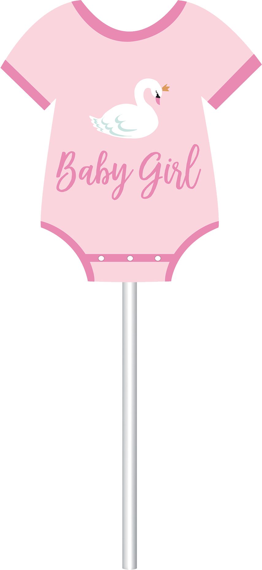 Sweet Swan Scene Setter with Photo Booth Props Front_Flat