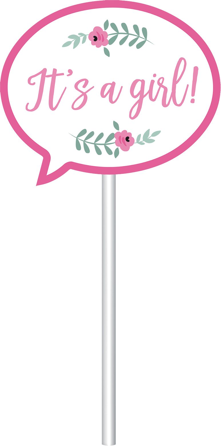 Sweet Swan Scene Setter with Photo Booth Props Front_Flat