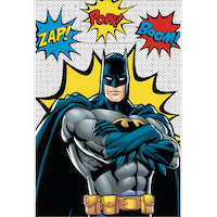 Sacs à surprises pour fête d'anniversaire La Ligue des Justiciers de Batman, paq. 8 Front_Flat