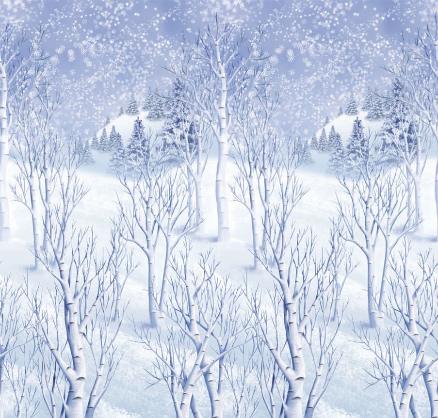 Rouleau de papier peint en plastique Winter Wonderland CloseUp