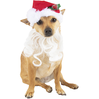 Santa's Beard Hat Front_Flat