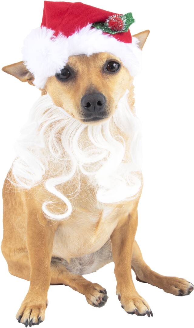 XS/S SANTA BEARD HAT