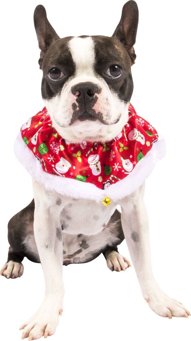 XS/S RED SCRUNCHE SN