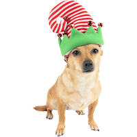 Striped Hat Front_Flat