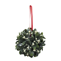 Hanging Glitter Mistletoe Ball Front_Flat