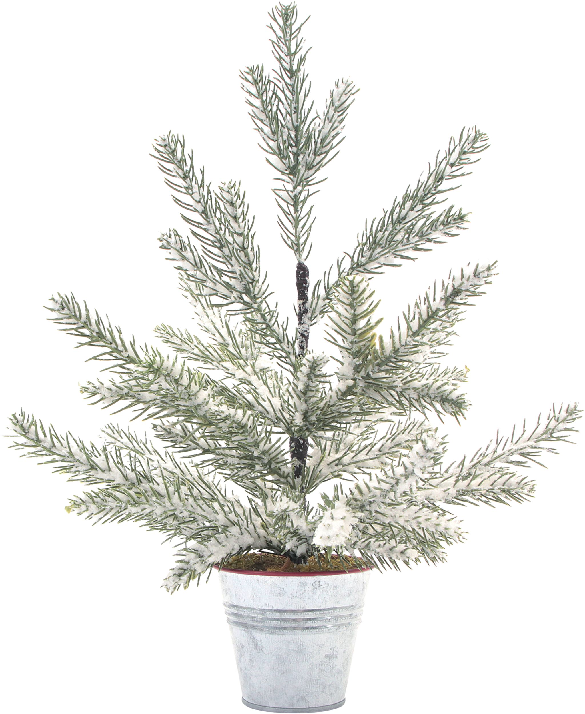 Mini Frosted Potted Christmas Tree Front_Flat