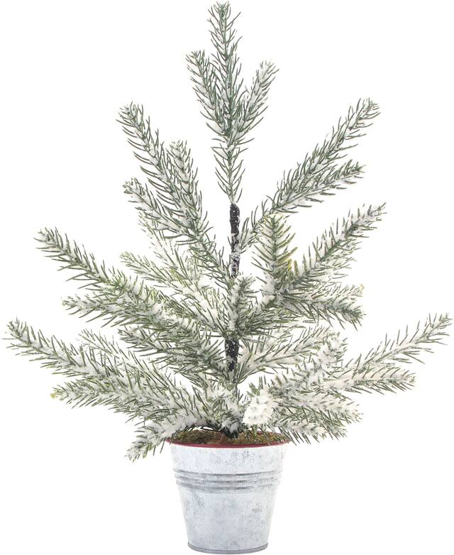 Mini arbre de Noël givré en pot Front_Flat