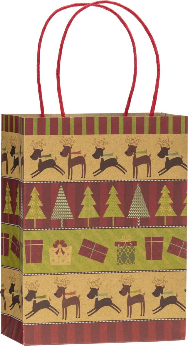 Medium Kraft Paper Gift Bags, 4-pk Front_Angled_Right