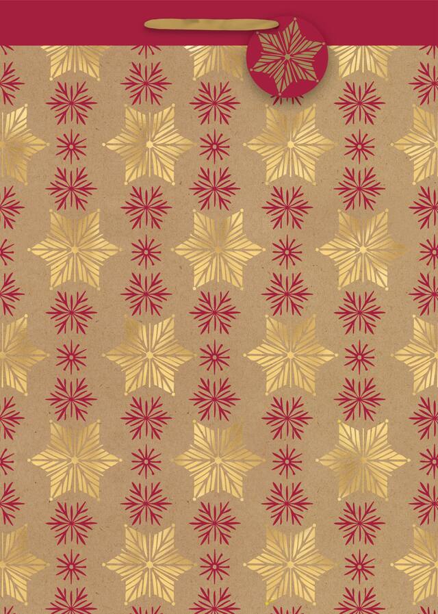 Giant Snowflake Kraft Gift Bag, Gold Front_Flat
