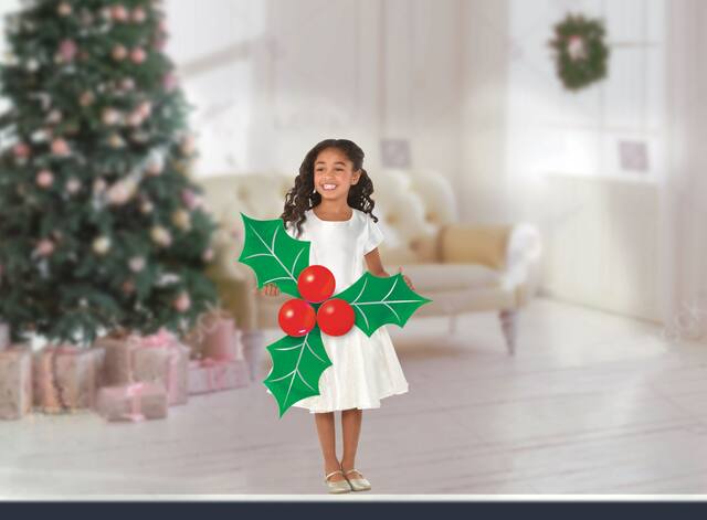 Accessoires photos en ballon de houx Front_Flat