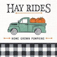 Harvest Fall Lunch Napkins, 16-pk Overhead_Flat