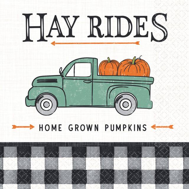 Serviettes de table Récolte d'automne, paq. 16 Overhead_Flat