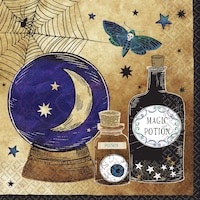 Spooks & Spells Lunch Napkins, 16-pk Overhead_Flat