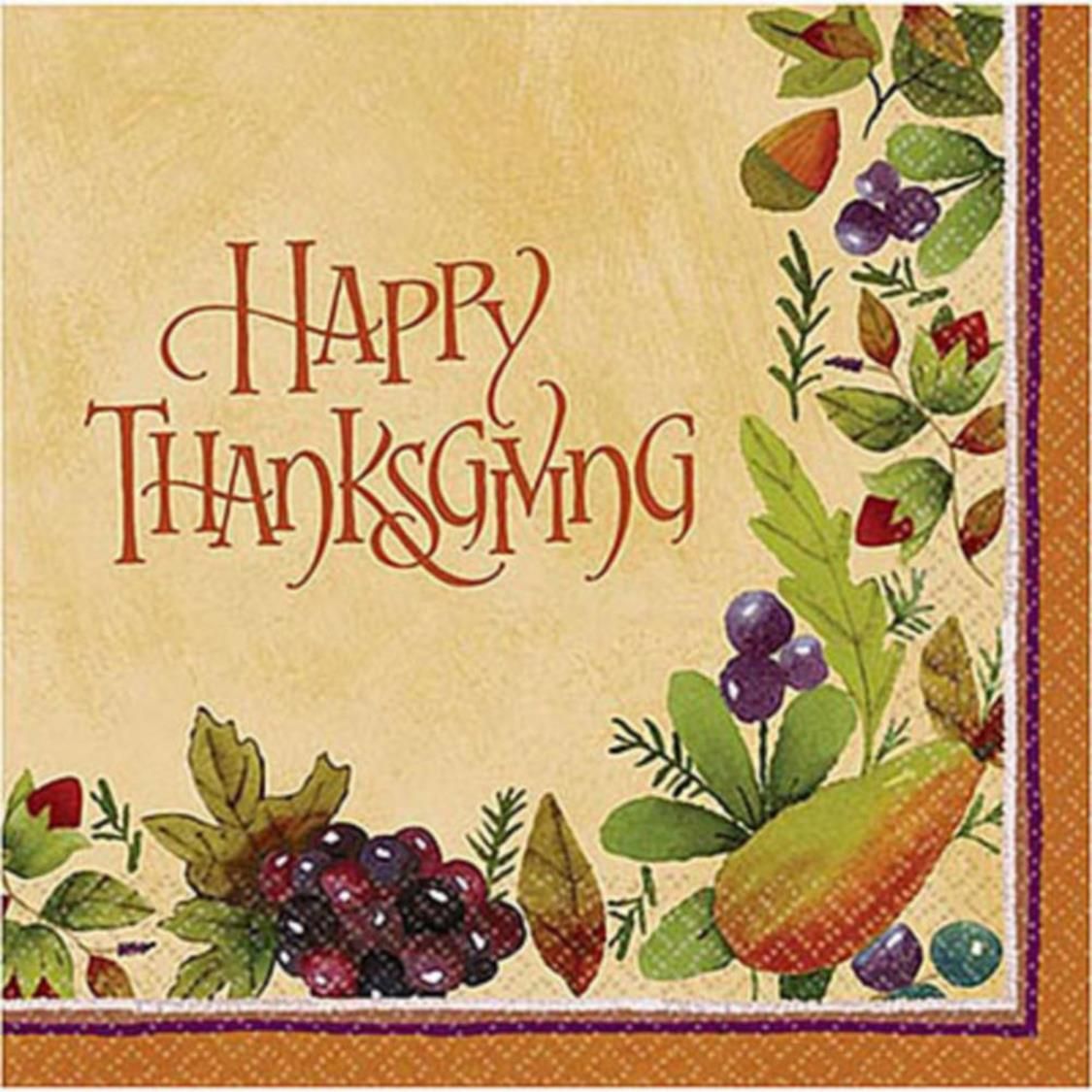 Thanksgiving Medley Dinner Napkins, 16-pk Overhead_Flat