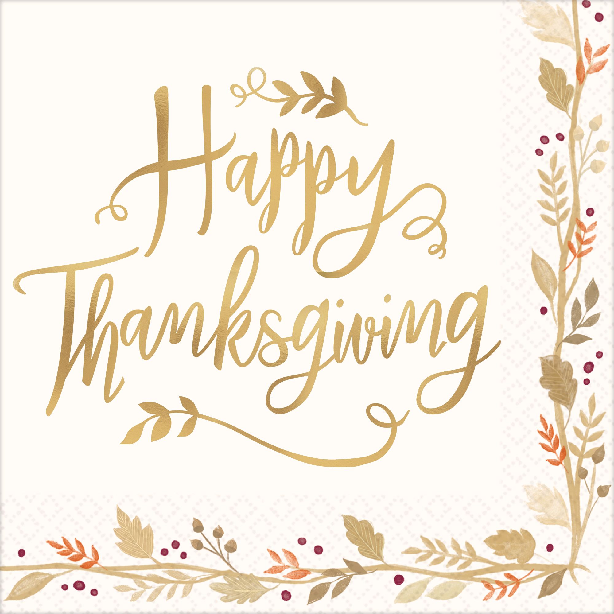 Happy Thanksgiving Dinner Napkins, 36-pk Overhead_Flat