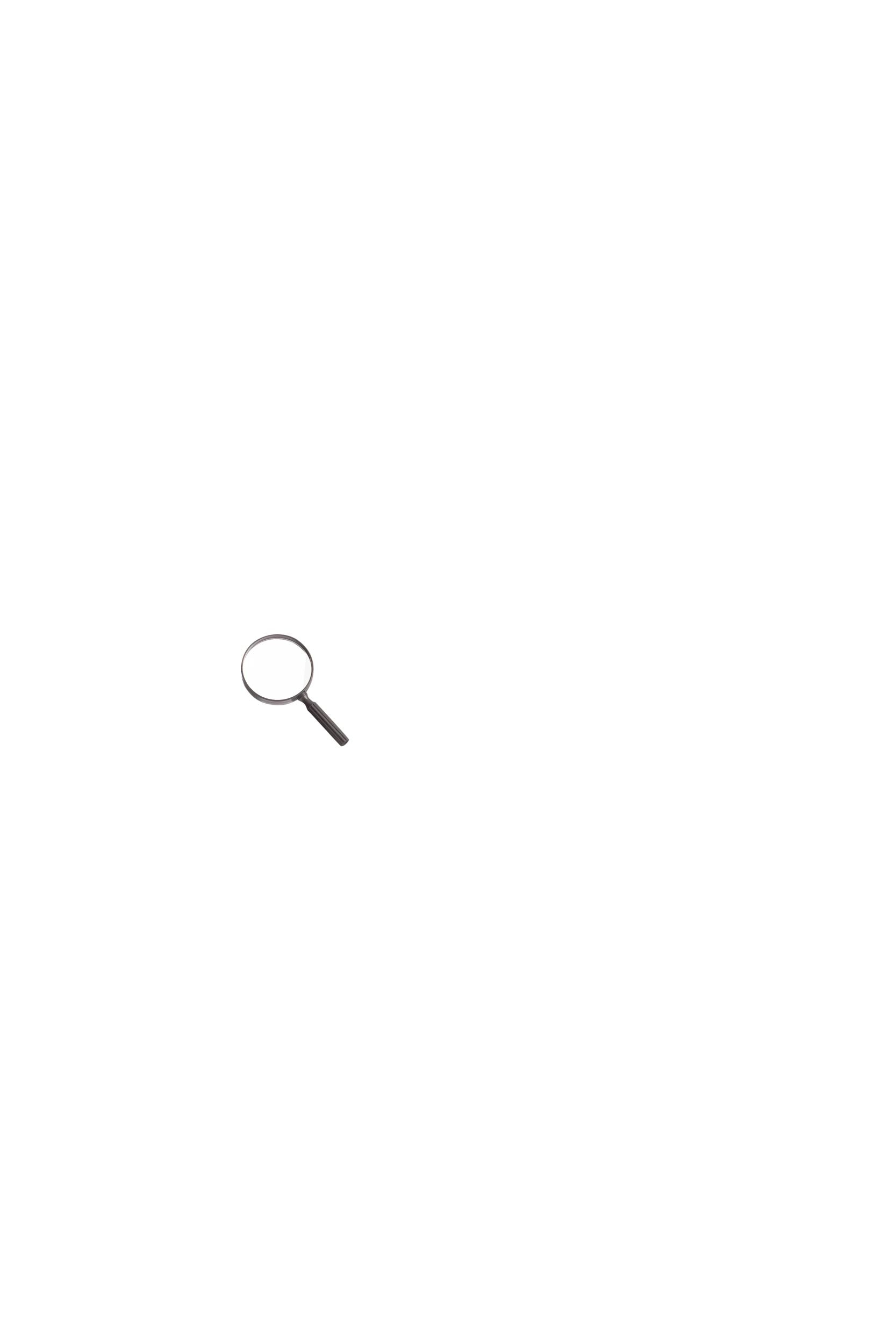 Detective Magnifying Glass Front_Flat