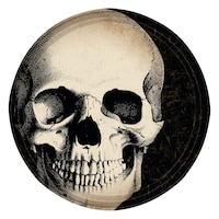 Boneyard Skull Lunch Plates, 60-pk Overhead_Flat