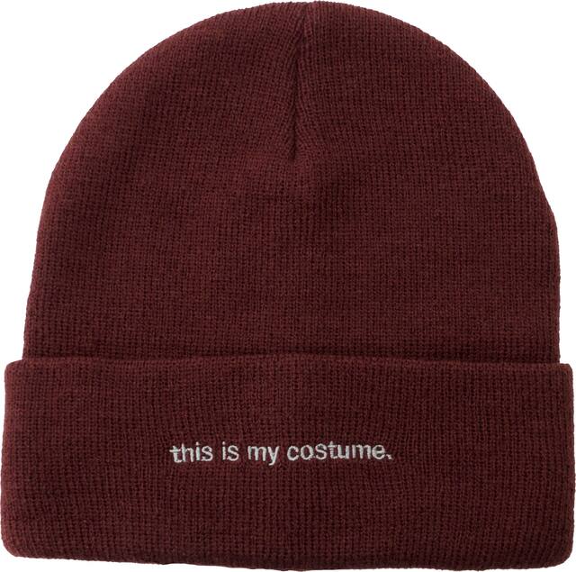 This Is My Costume Beanie Front_Flat