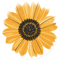 Fall Harvest Plastic Charger Overhead_Flat