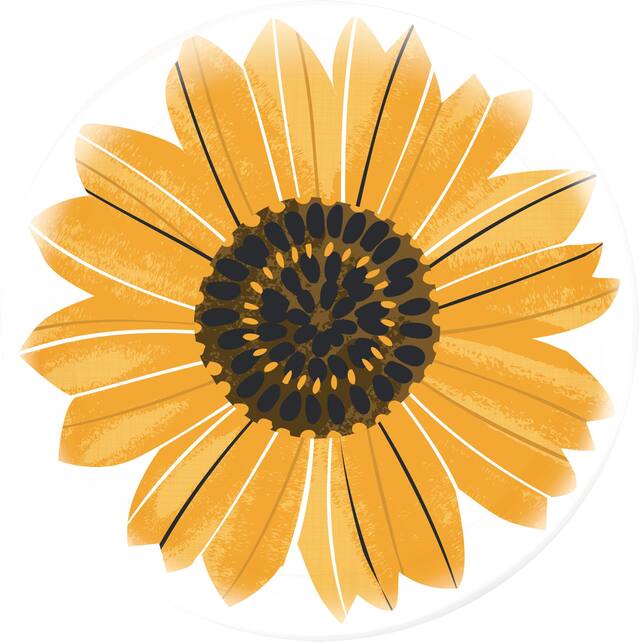 Fall Harvest Plastic Charger Overhead_Flat