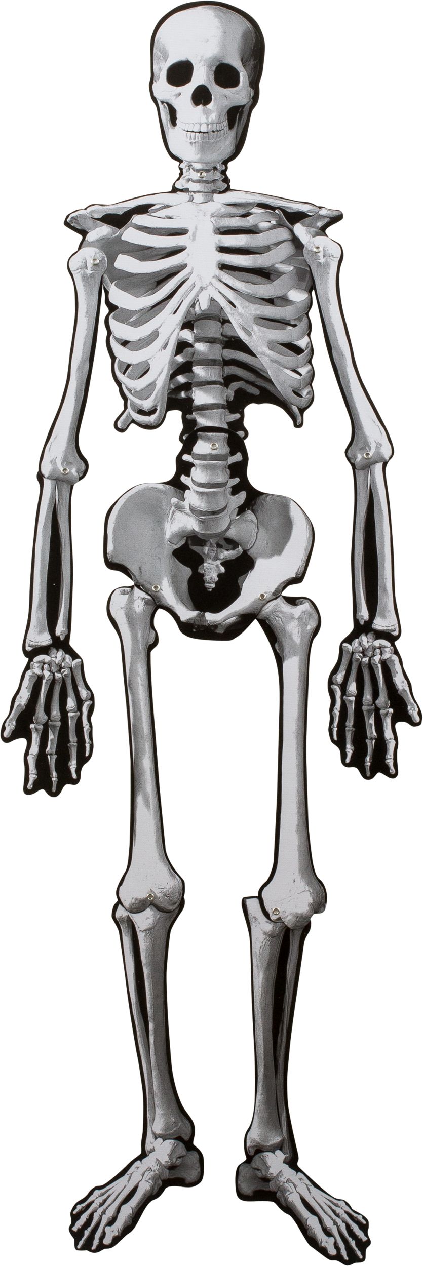 Skeleton Jointed Paper Cutout, White, 53-in, Indoor Decoration for Halloween Front_Flat