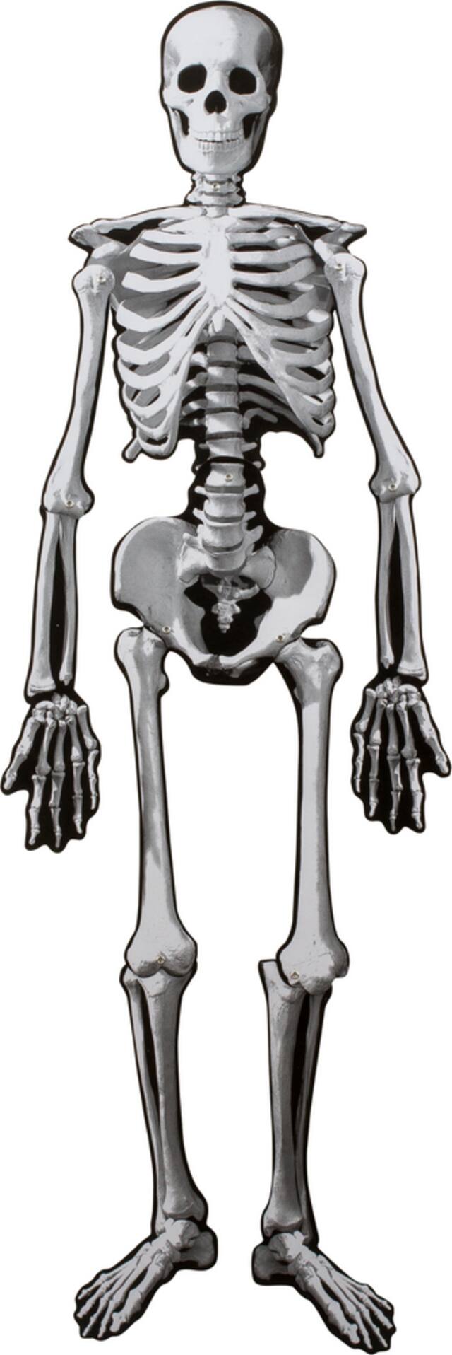 Skeleton Jointed Paper Cutout, White, 53in, Indoor Decoration for