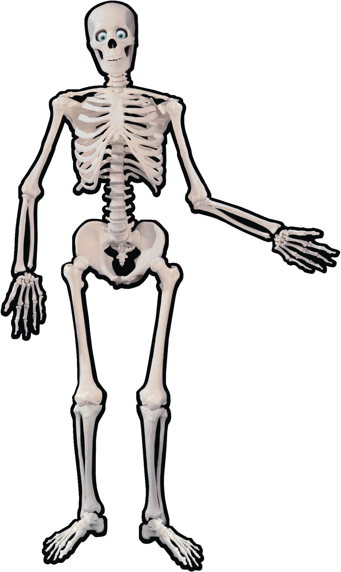 Skeleton Jointed Paper Cutout, White, 53-in, Indoor Decoration for Halloween Front_Flat