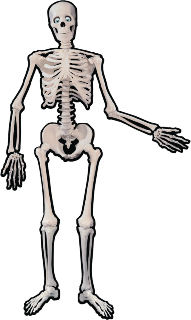 Skeleton Jointed Paper Cutout, White, 53in, Indoor Decoration for