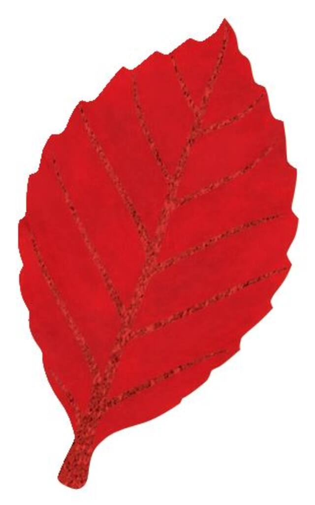 Glitter Leaf Cutouts, Multi-Coloured, 5-in, 10-pk, Indoor Decoration for Fall Front_Flat