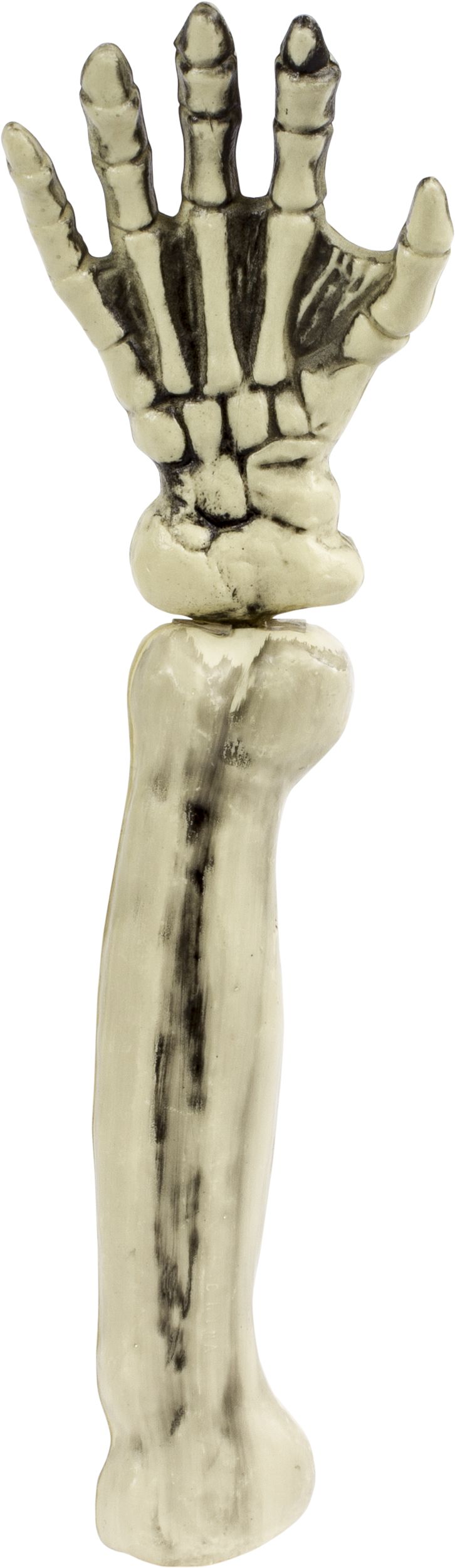 Squelette en plastique sur piquet, blanc, 16 po, paq. 12, décoration extérieure pour l'Halloween Back_Flat