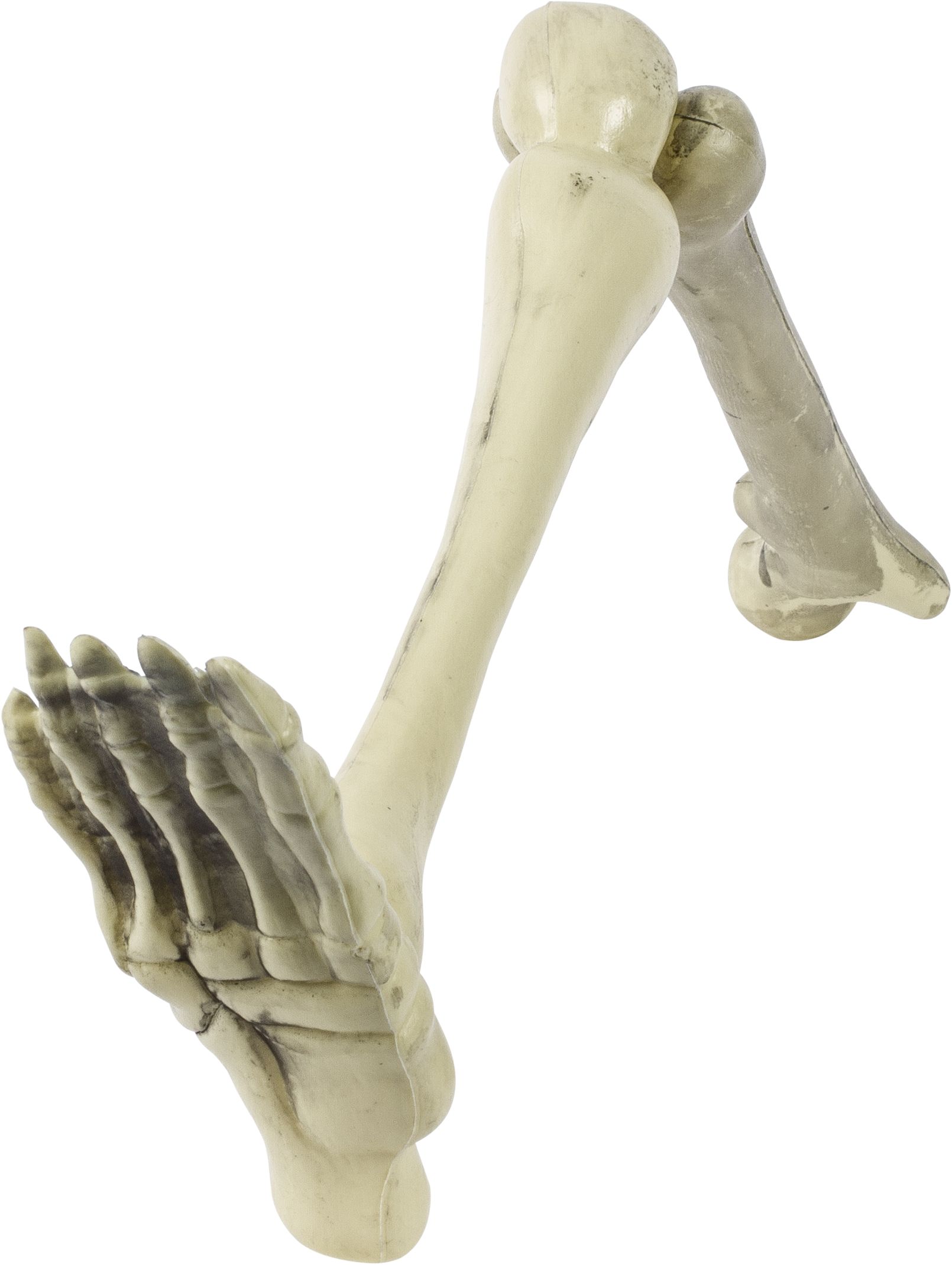 Squelette en plastique sur piquet, blanc, 16 po, paq. 12, décoration extérieure pour l'Halloween Front_Angled_Left