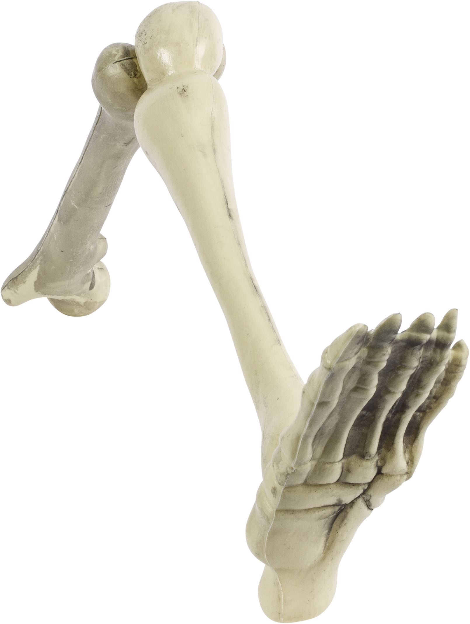 Squelette en plastique sur piquet, blanc, 16 po, paq. 12, décoration extérieure pour l'Halloween Front_Angled_Right