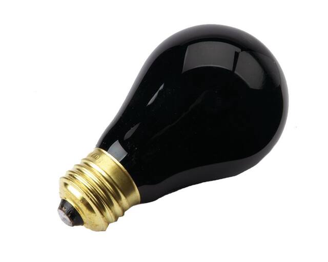 75W Light Bulb, Black, 3-in, Indoor/Outdoor Decoration for Halloween Front_Angled_Left