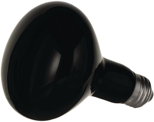 100W Light Bulb, Black, 5-in, Indoor/Outdoor Decoration for Halloween Front_Angled_Left