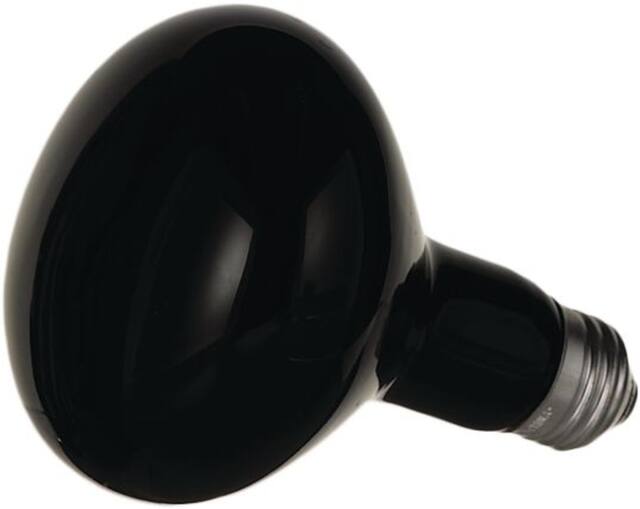 100W Light Bulb, Black, 5-in, Indoor/Outdoor Decoration for Halloween Front_Angled_Left