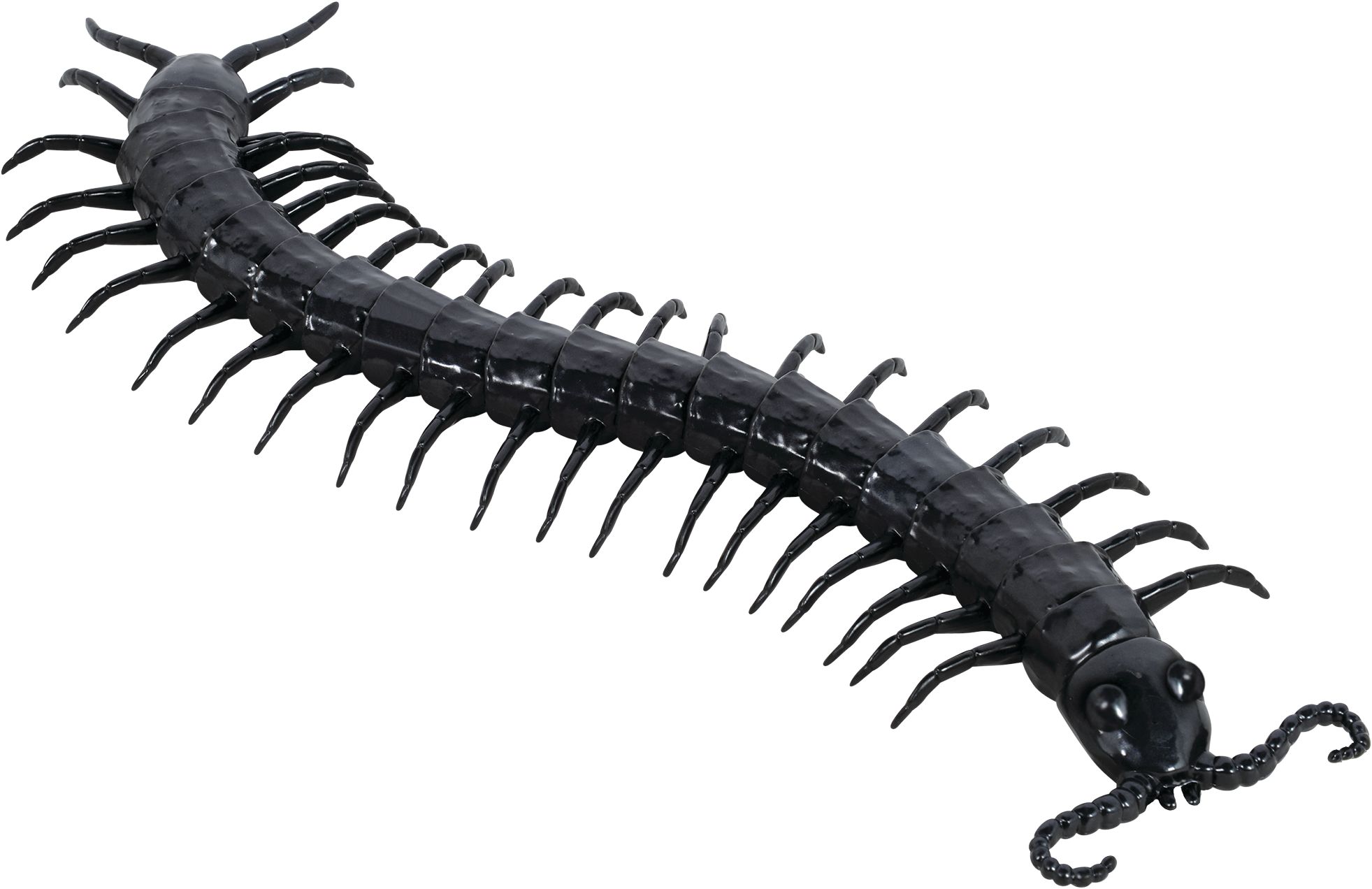 Centipede Prop, Black, 24-in, Indoor/Outdoor Decoration for Halloween Front_Angled_Right
