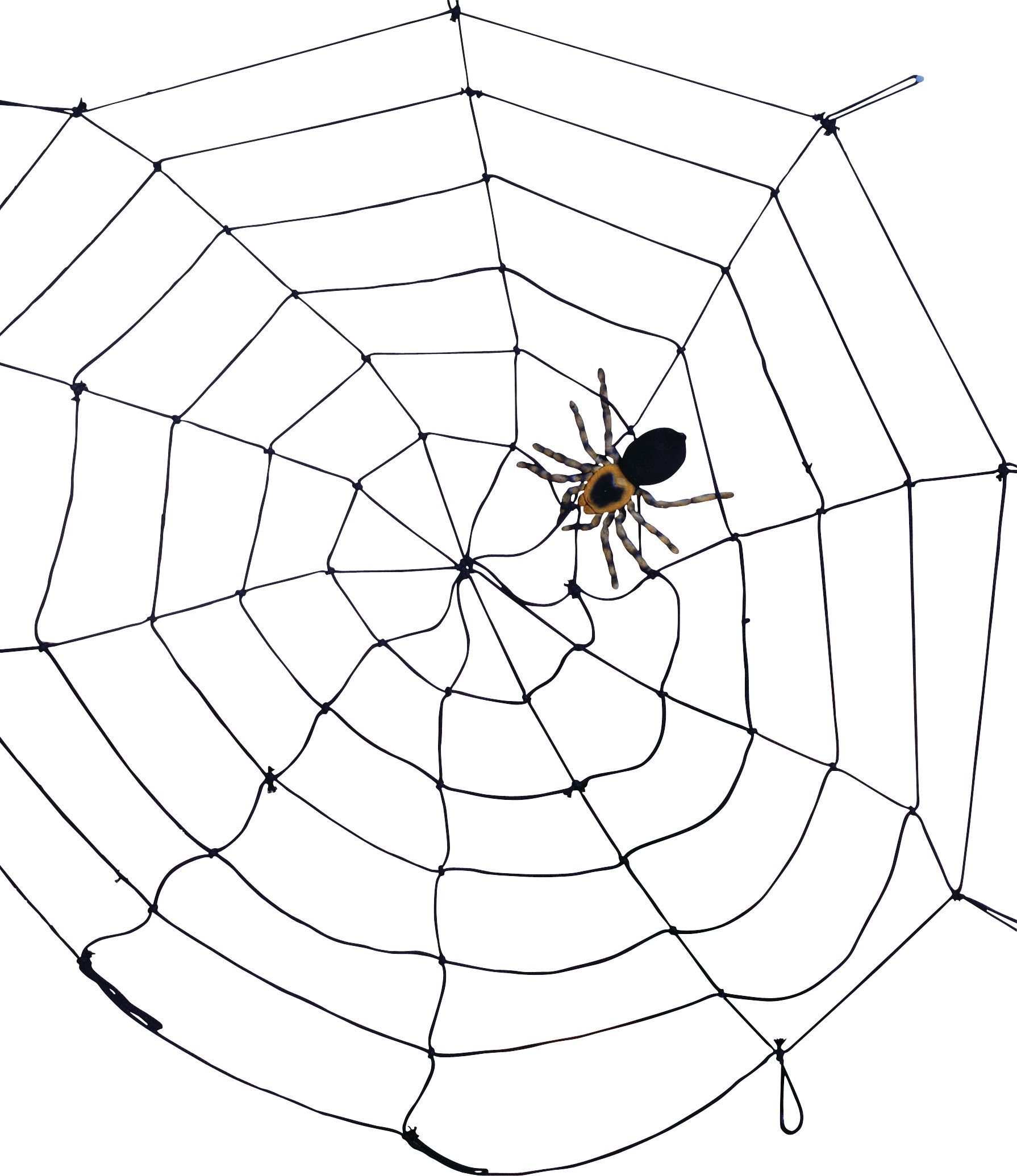 Toile d'araignée géante, noir/bleu, 5 pi, décoration intérieure/extérieure pour l'Halloween Front_Flat