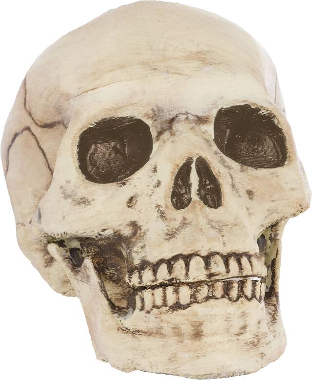 Accessoire de crâne avec bouche articulée, beige, 6 po, décoration intérieure/extérieure pour l'Halloween Front_Angled_Right