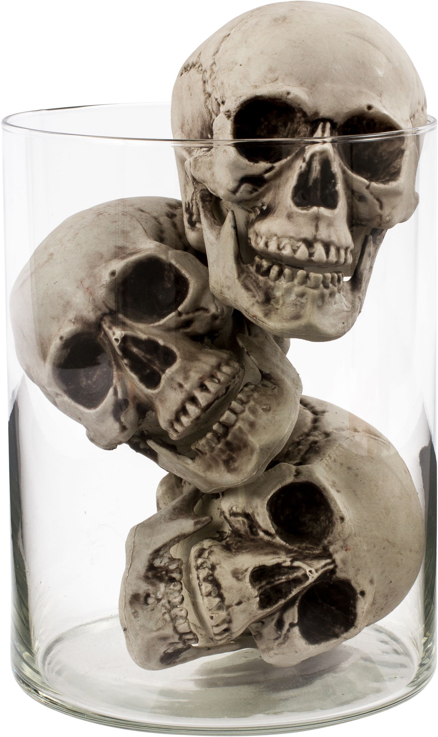 Plastic Skulls, 6-pk Front_Flat