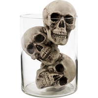 Crânes en plastique, paq. 6 Front_Flat