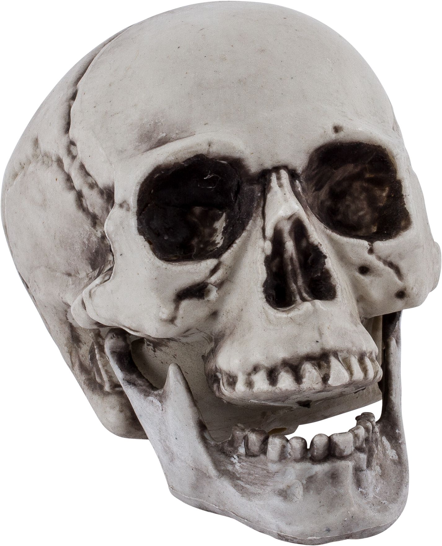 Plastic Skulls, 6-pk Front_Angled_Right