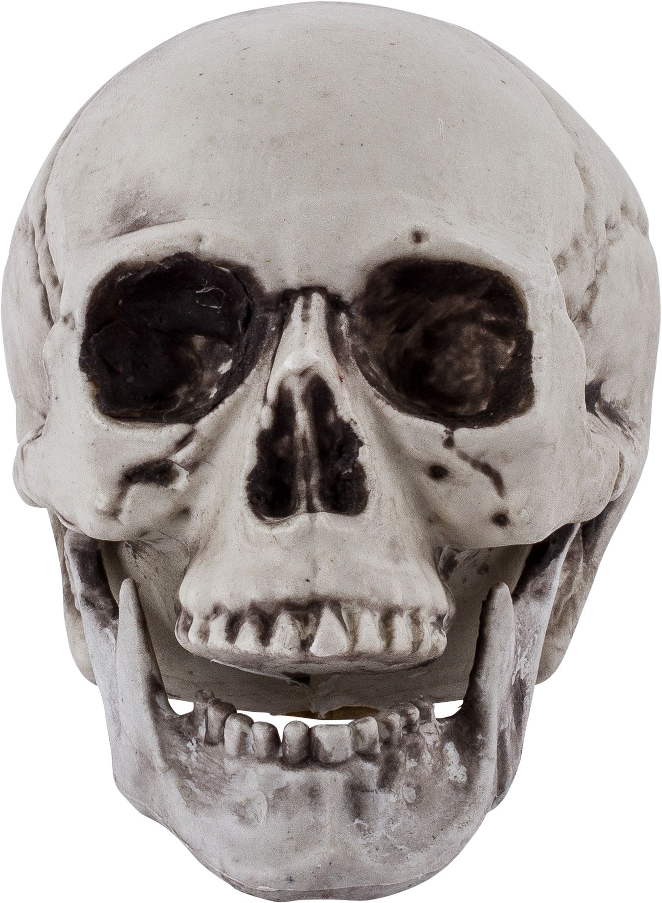 Plastic Skulls, 6-pk Front_Flat