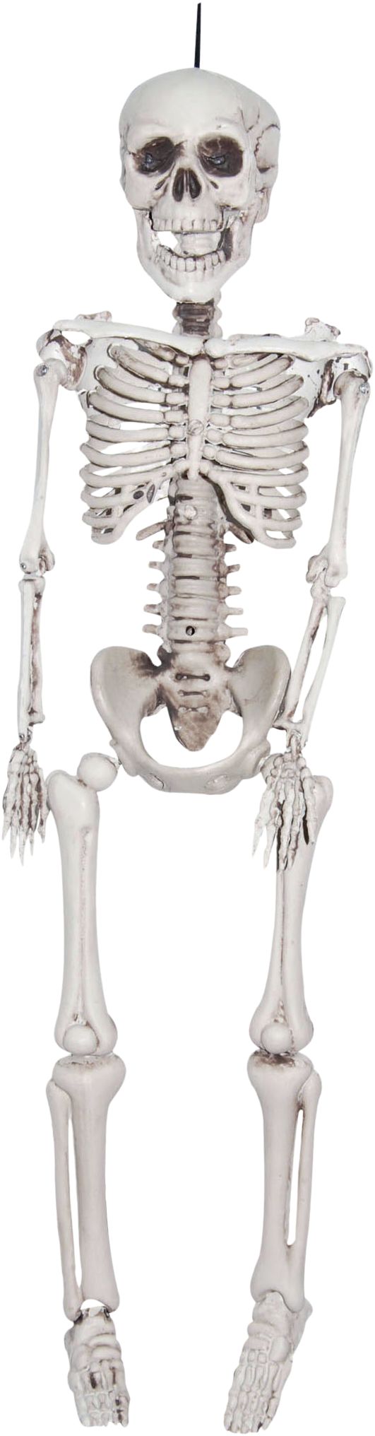 Skeleton Realistic Hanging Full-Size Human, White, 35-in, Indoor/Outdoor Decoration for Halloween Front_Flat