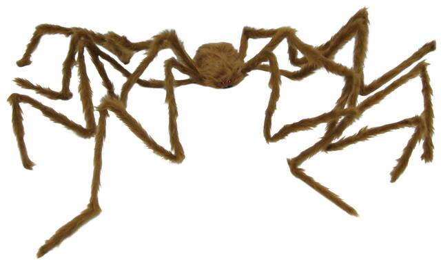 Brown Hairy Poseable Spider Front_Flat