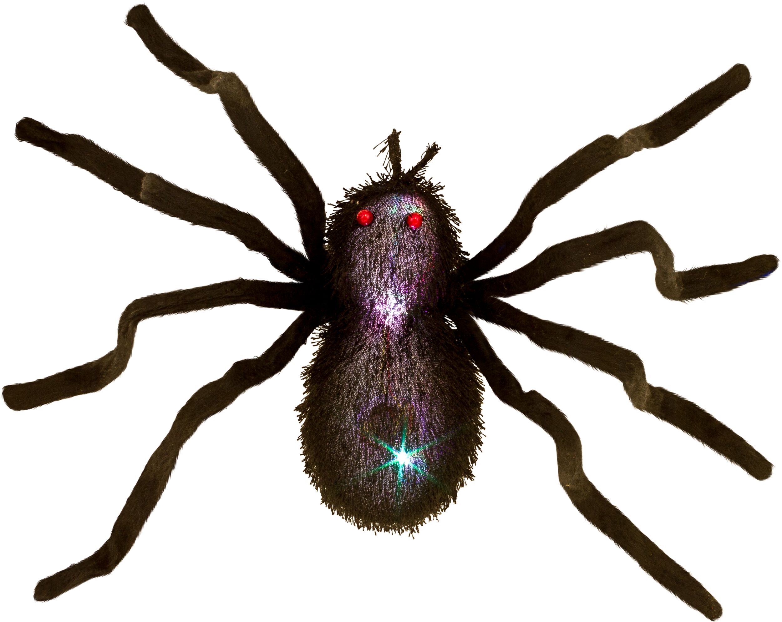 Spider Light-Up Prop with Batteries, Black Colour Changing, 16-in, Indoor/Outdoor Decoration for Halloween Overhead_Flat
