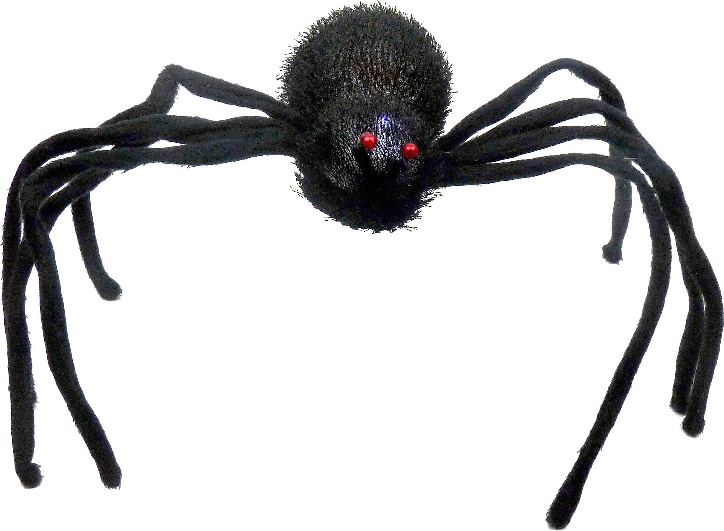 Spider Light-Up Prop with Batteries, Black Colour Changing, 16-in, Indoor/Outdoor Decoration for Halloween Front_Flat