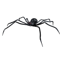 Spider Realistic Hanging Prop, Black, 4-ft, Indoor/Outdoor Decoration for Halloween Front_Angled_Left