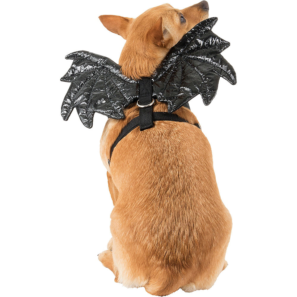 Halloween dog harness store