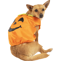 Mission Pets Pumpkin & Glitter Pet Costume Back_Angled_Right